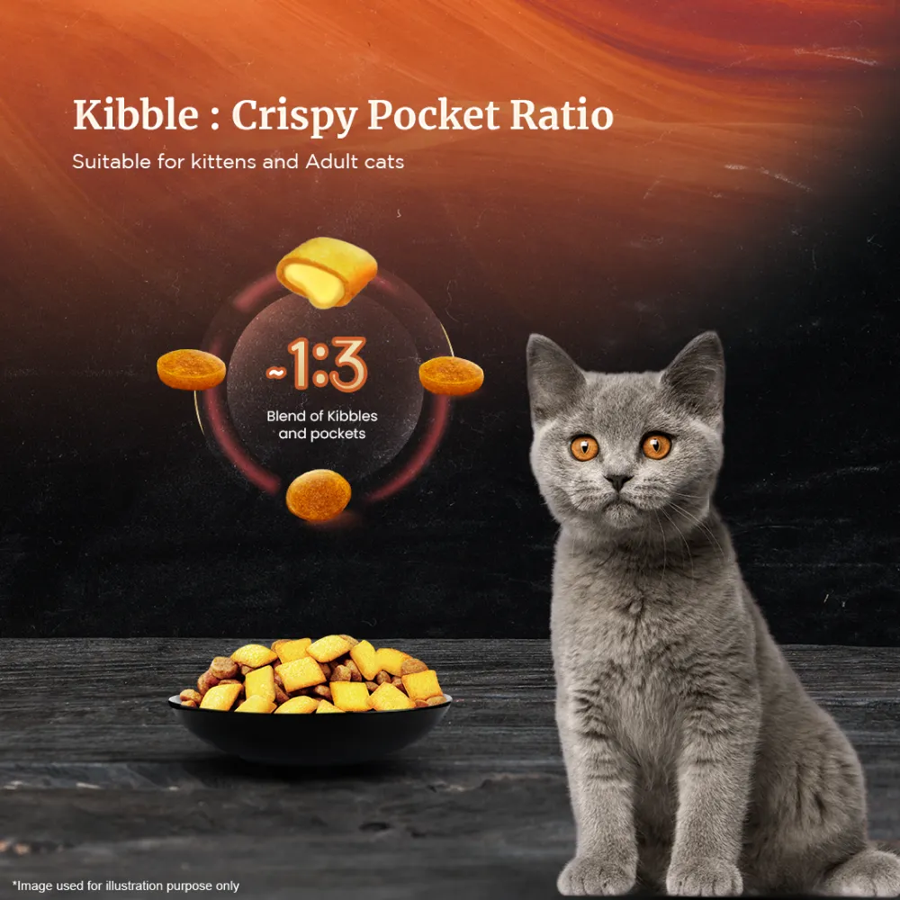 Sheba Tuna Pumpkin & Carrot In Gravy Rich Premium Adult Fine Cat Wet Food and Chicken All Life Stage Cat Dry Food Combo
