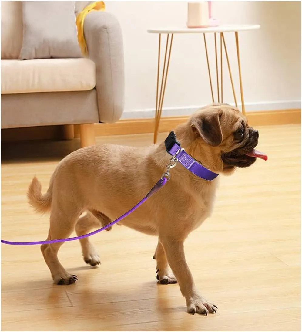 Small Dog Leash, 1/4" by 6/8/10 FT Lightweight Strong Nylon Rope Leash, Bright Classic Lead for Small Pets/Puppy/Cat (8ft, Purple)