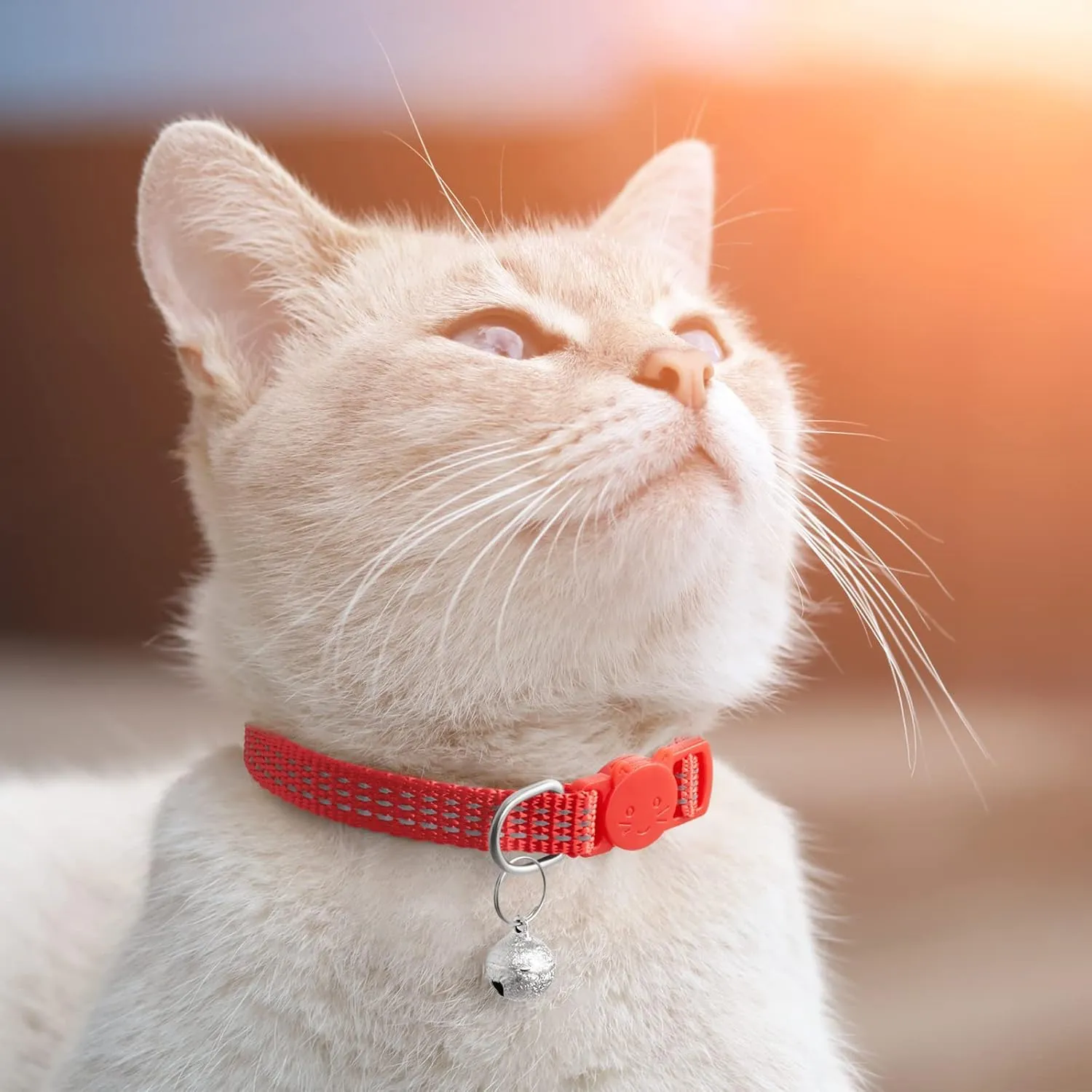 Upgraded Version 6 Pack Reflective Cat Collars with Bell,Breakaway Safety Kitten Collar,Adjustable 7''-12'',for Girl Boy Cats,Pet Supplies,Stuff,Accessories