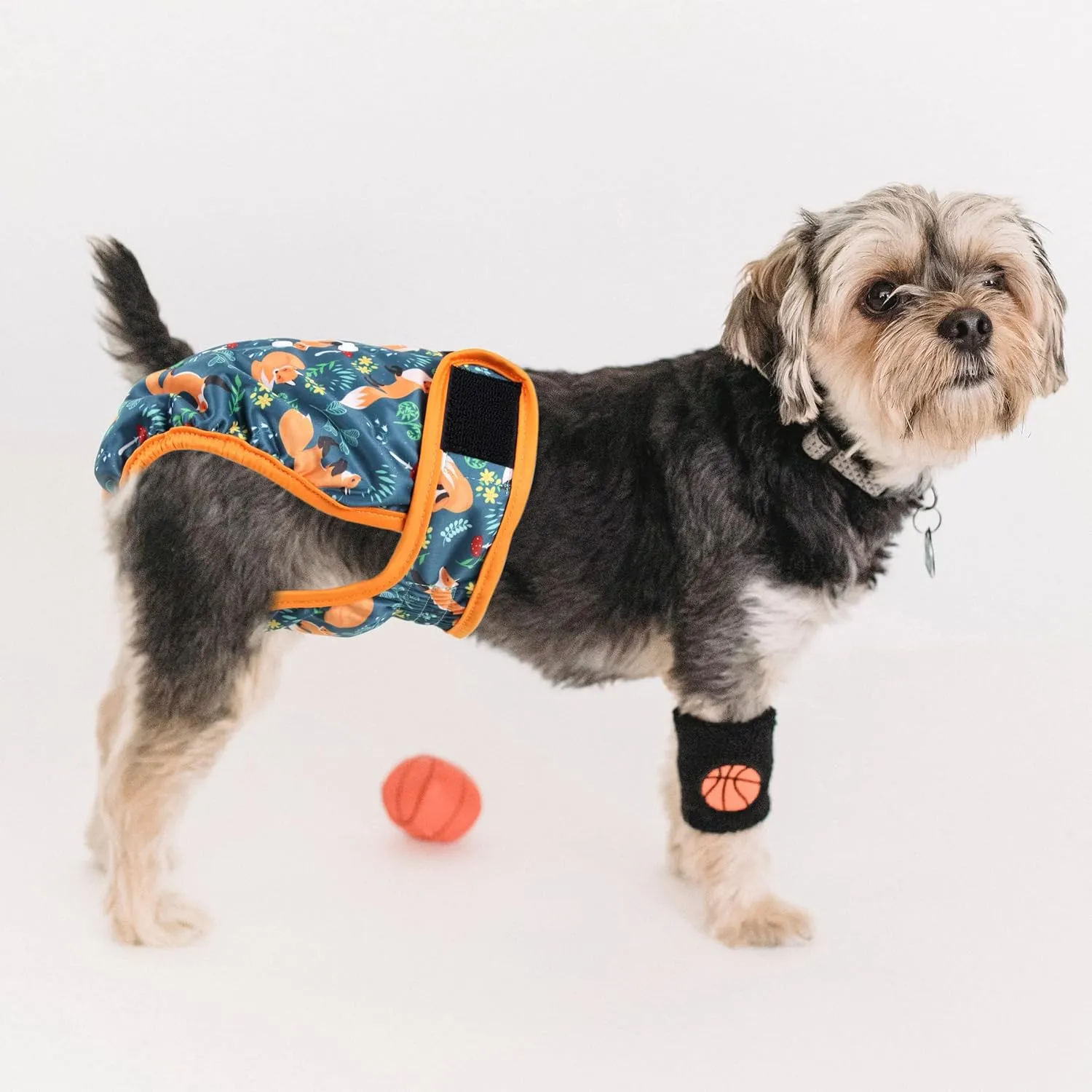 Washable Dog Diapers (3 Pack), Reusable Dog Diapers for Doggie Heat Period, Reusable Doggie Diaper for Female Dogs (Giraffe, Tucan, Fox, Small)