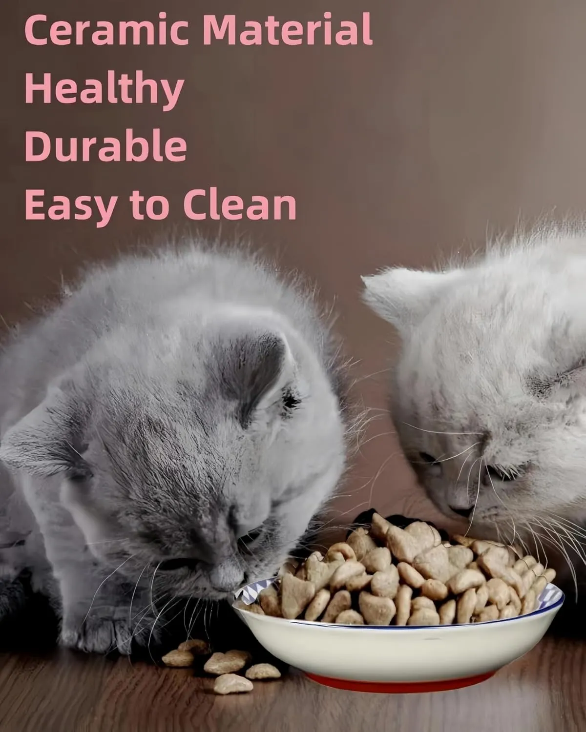 Whisker Fatigue Cat Bowl  5.5 in Ceramic Cat Bowls, Shallow Cat Food Dish, Cute Flat Cat Bowl, Small Wide Cat Plates for Indoor Cats with Silicone Bottom, Non-Slip and Quiet
